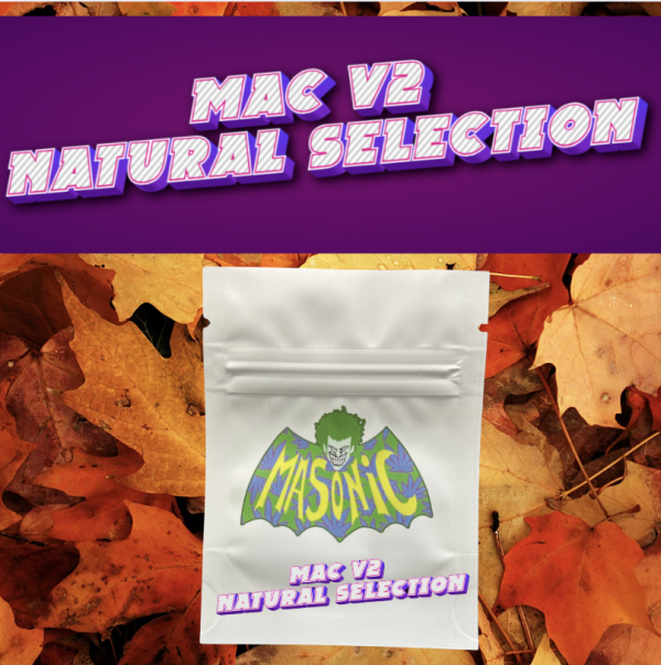 Mac V2 NS